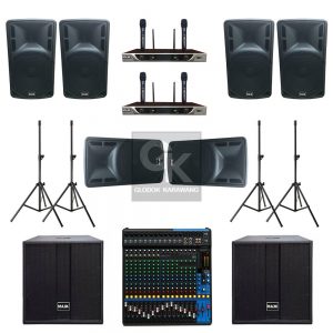 Paket Sound System Professional D